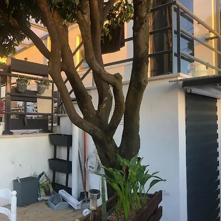 Cantinho Da Susana ゲストハウス